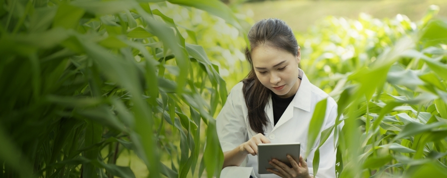 US-Dept-Agro-890x356 US Department of Agriculture