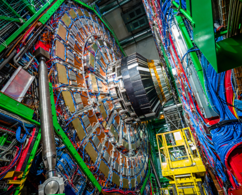 Muons Wobble But They Don’t Fall Down